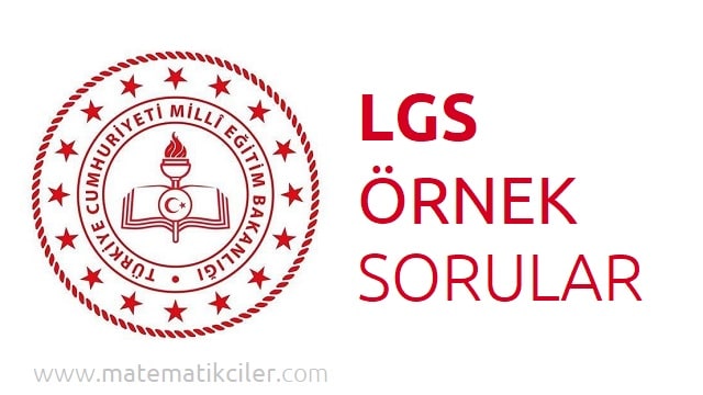 MEB LGS Örnek Sorular